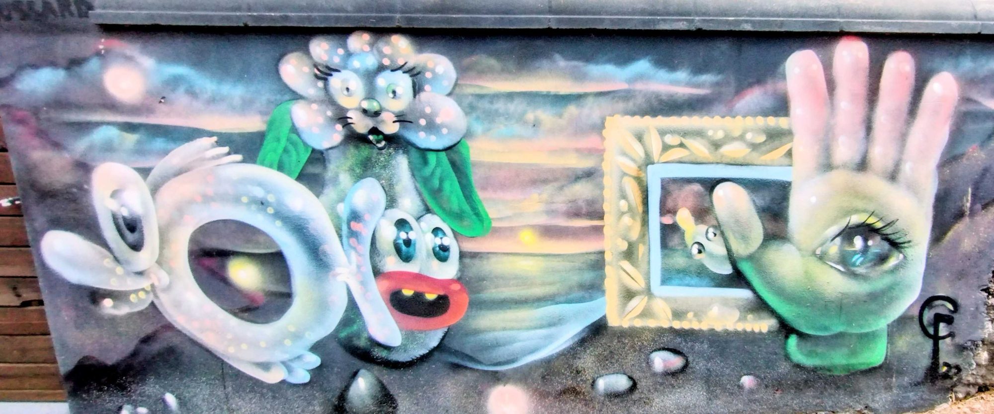 Flower and Eye in Frame — Street art in Saint-Paul
