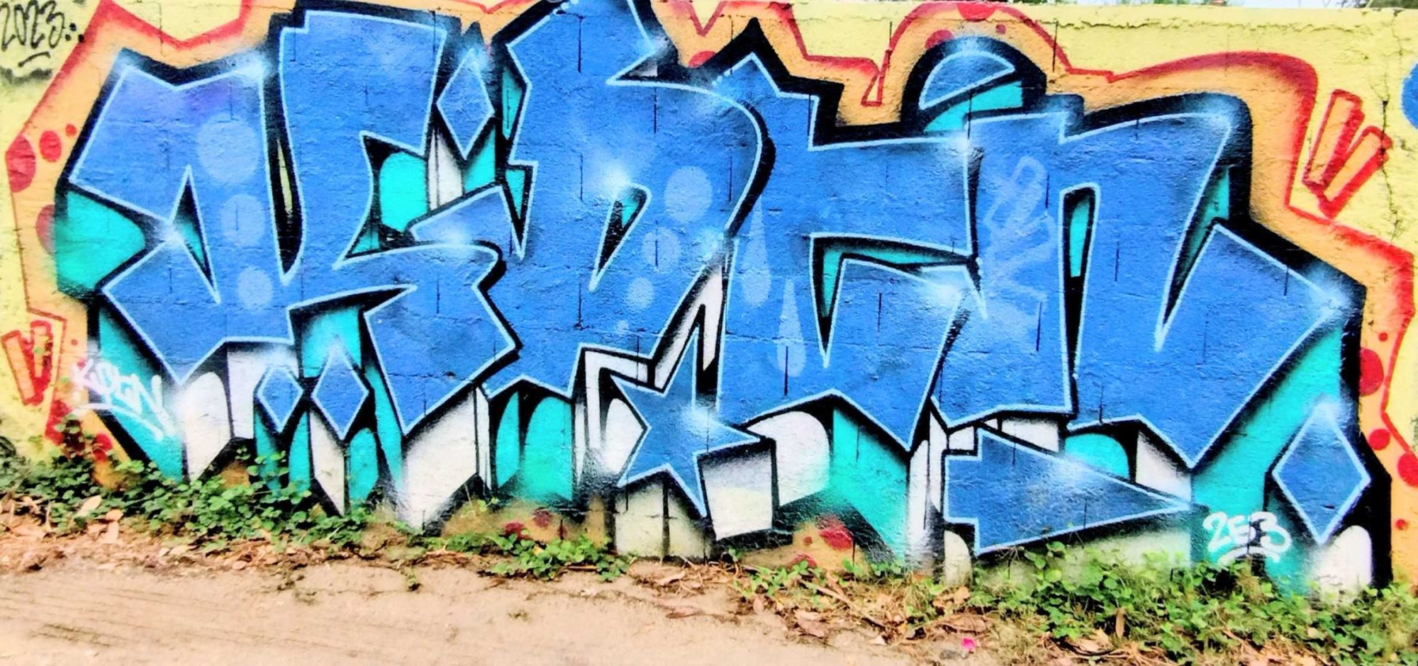 Wild style bleu turquoise — Street art à Saint-Paul