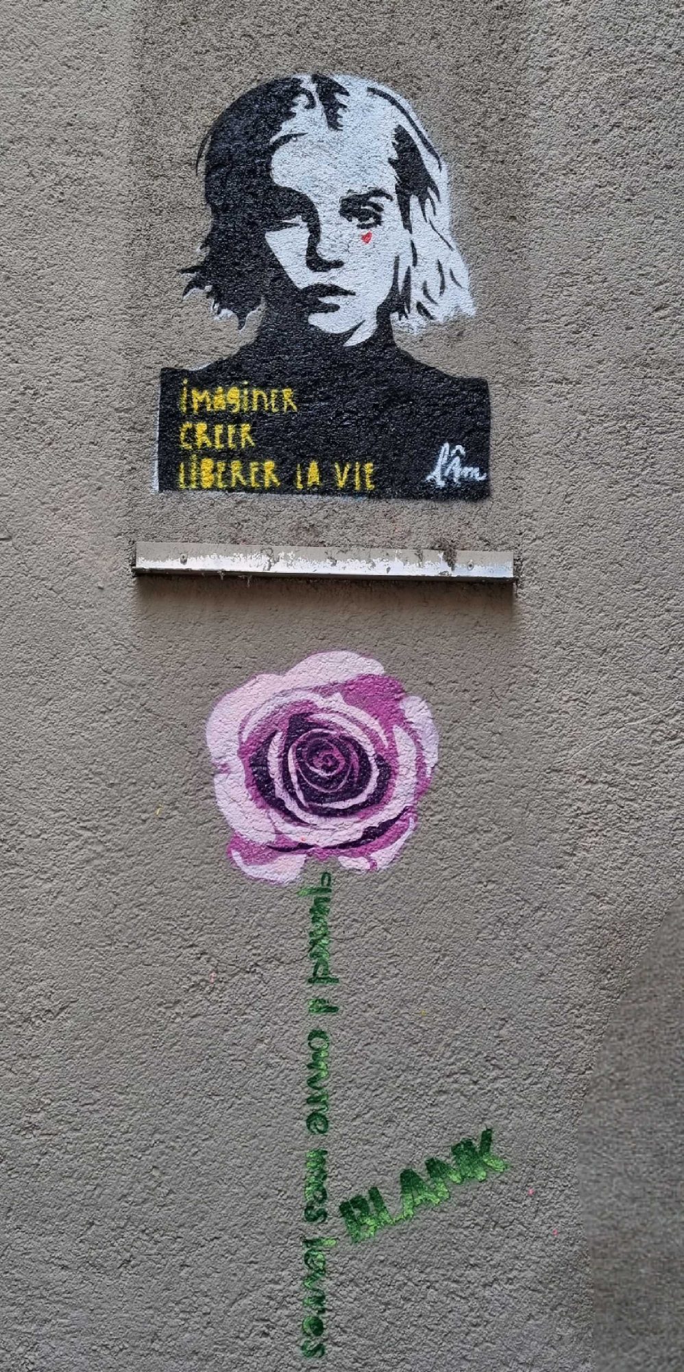 L'im's Female Stencil and Painted Rose — Street art in Clermont-Ferrand