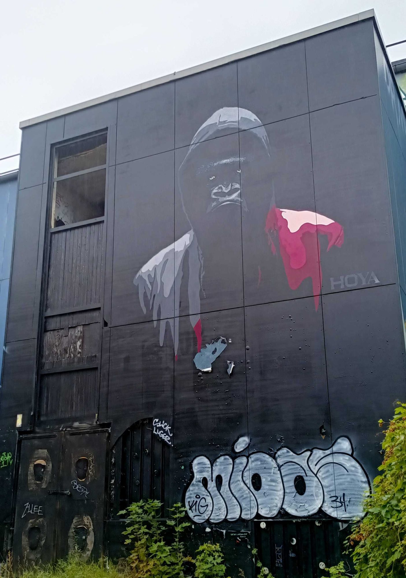 Gorilla HOYA on Dark Background, Berlin — Street art by JPS in Berlin