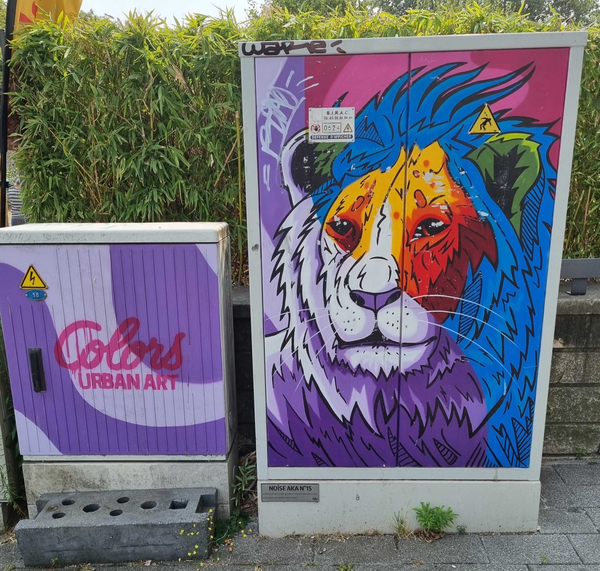 Multicolored Lion Colors Urban Art — Street art in Strasbourg