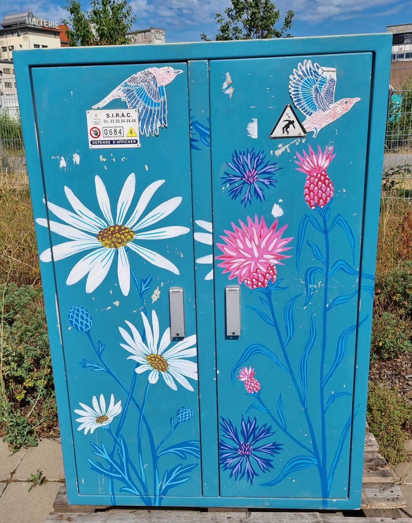 Jardin turquoise fleuri — Street art à Strasbourg