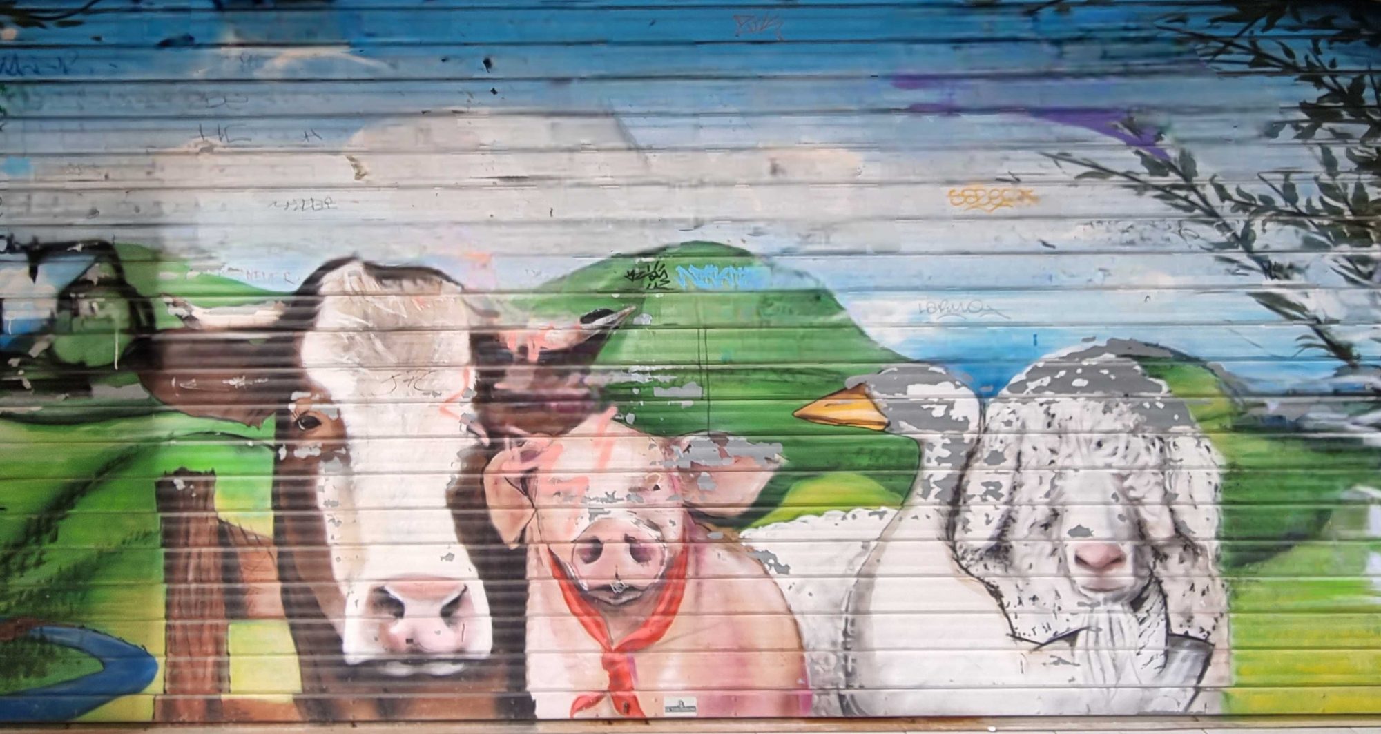 Auvergne Farm Animals — Street art in Clermont-Ferrand