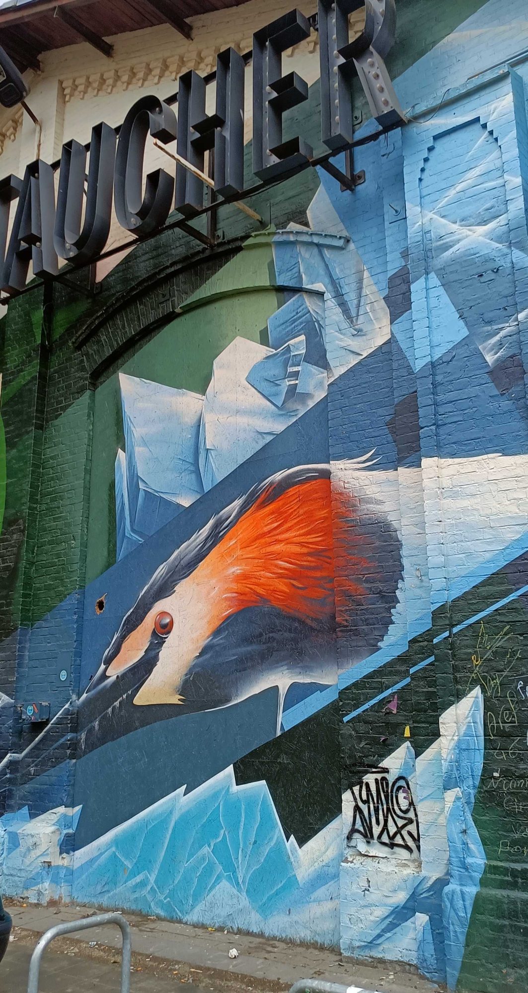 Grèbe huppé sur glace fragmentée — Street art de JD Art à Berlin