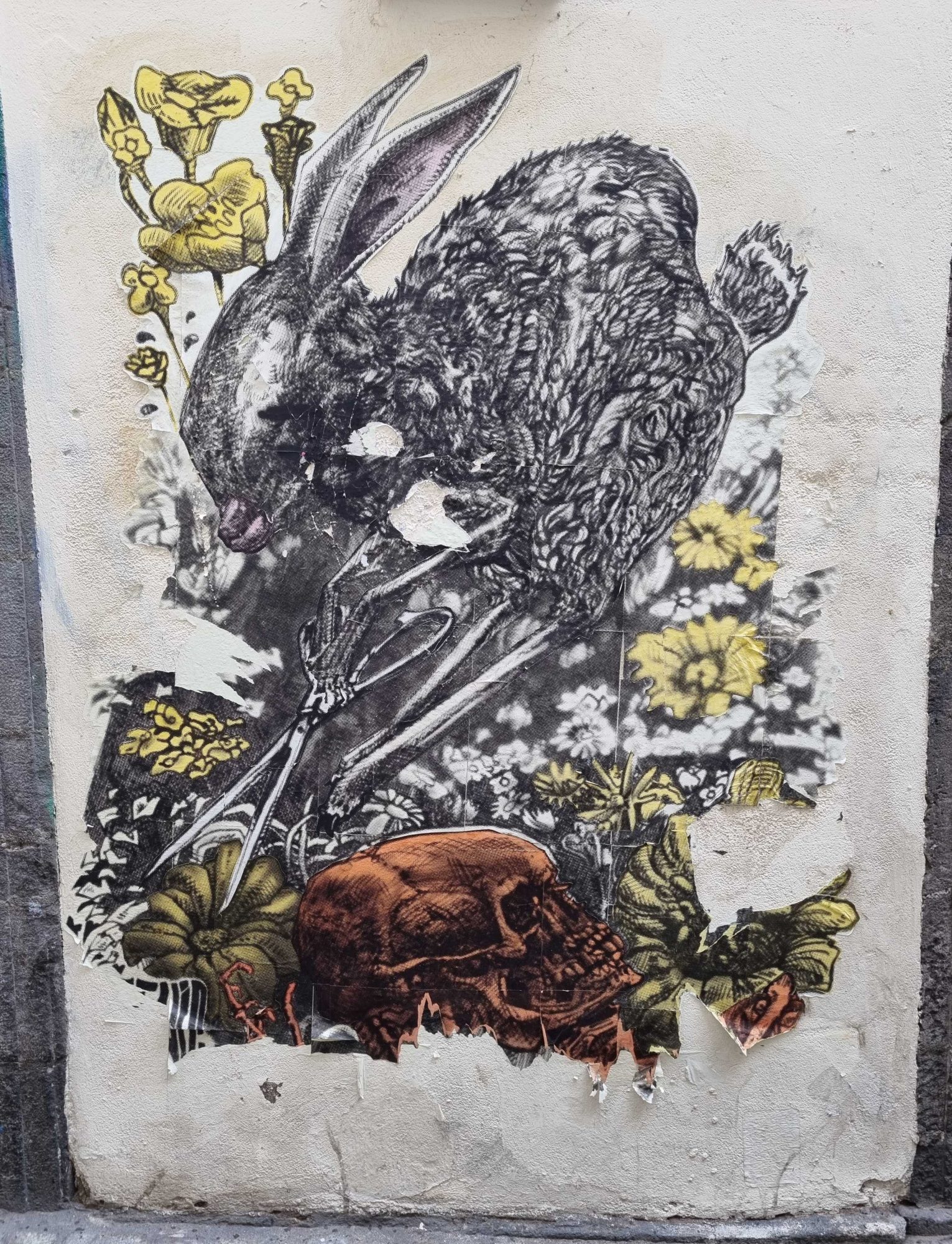 Lièvre et crâne dans les fleurs sauvages — Street art à Clermont-Ferrand
