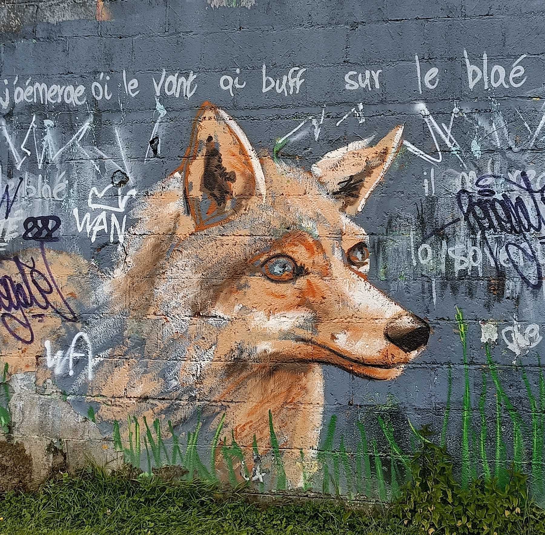 Portrait de renard aux yeux bleus — Street art à Redon