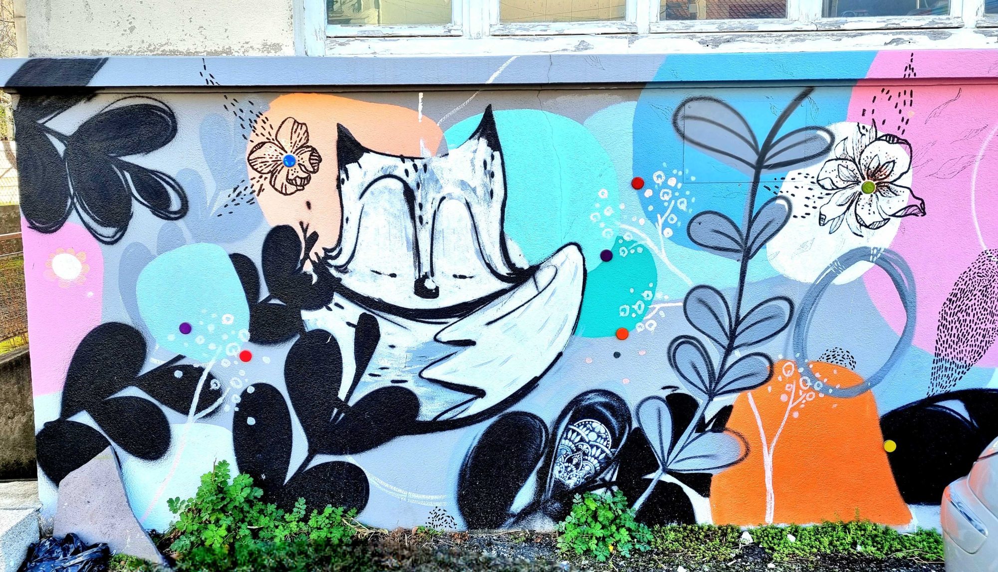 Black Foliage on Pastel — Street art in Clermont-Ferrand