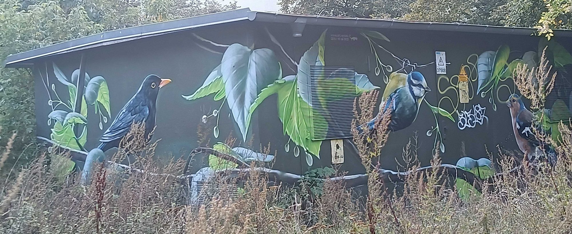 Detailed Multicolor Birds Nature — Street art by ART-EFX in Berlin