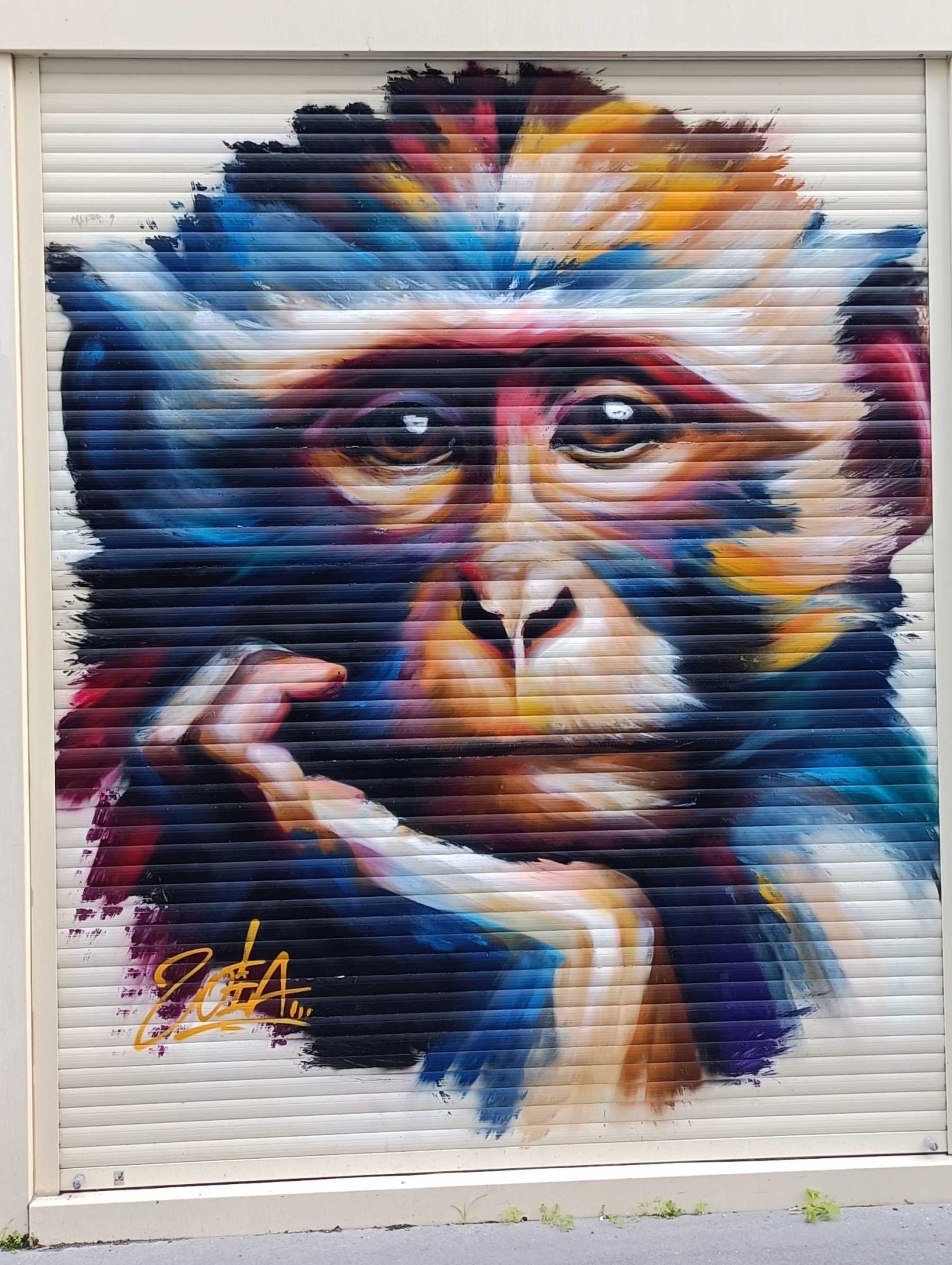 Singe pensif aux couleurs éclatantes, par Zeta — Street art de Zoia à Nantes