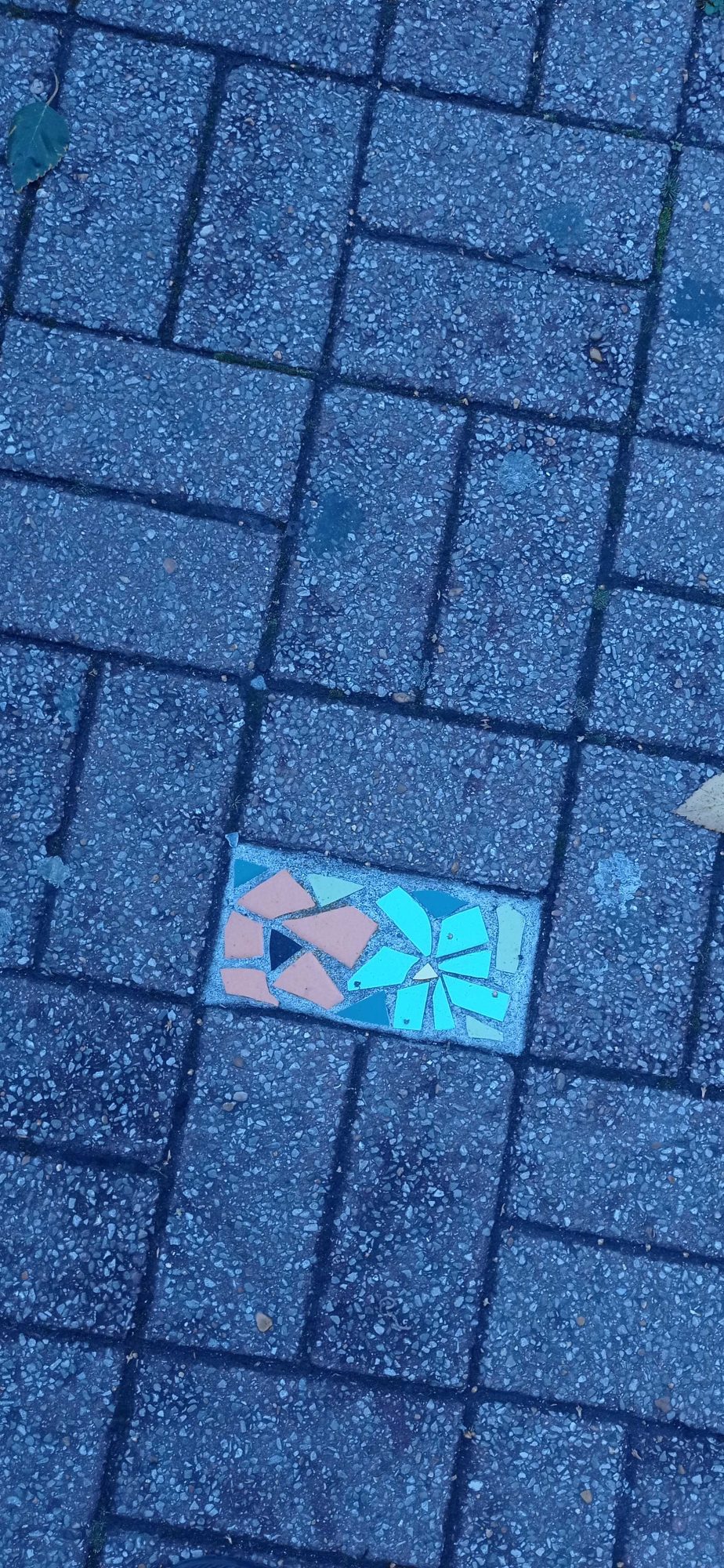 Mosaïque florale dans le pavé lillois — Street art à Lille