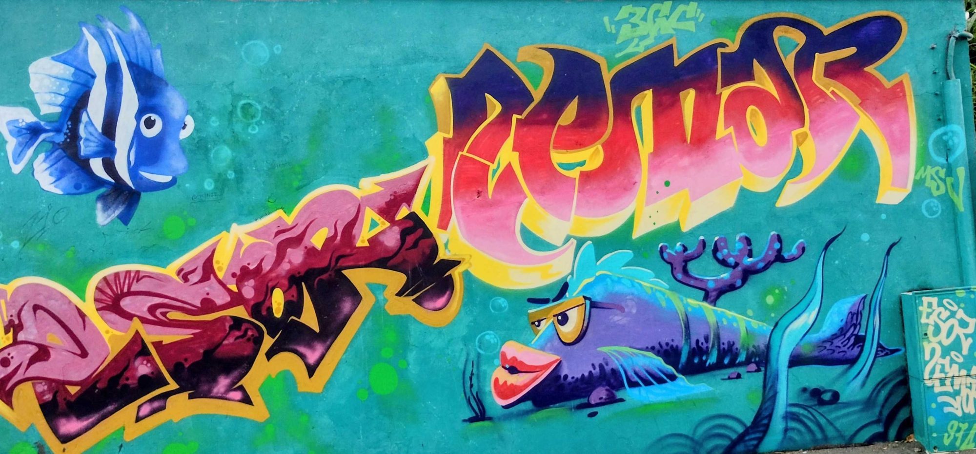 Fond marin tropical Remok — Street art à Saint-Leu