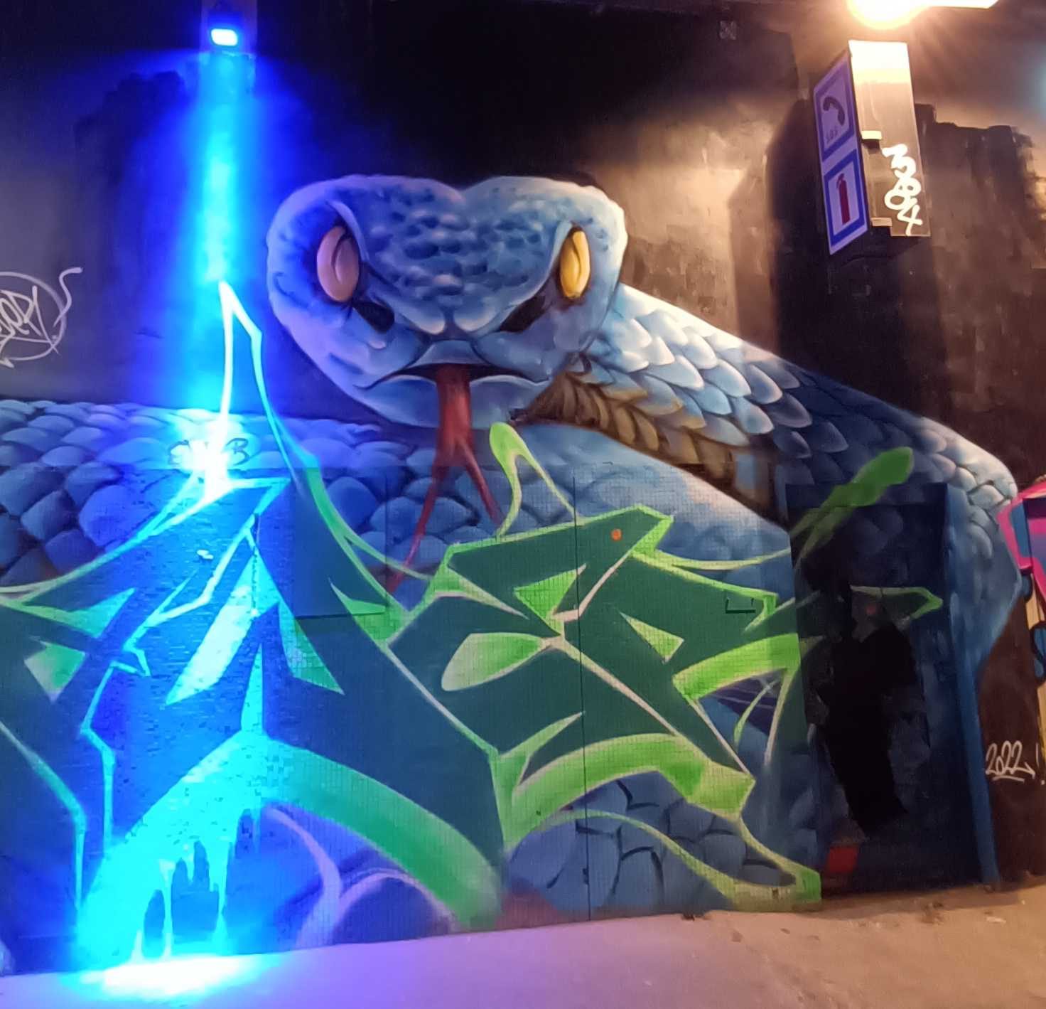 Serpent bleu géant sous le pont — Street art à Paris