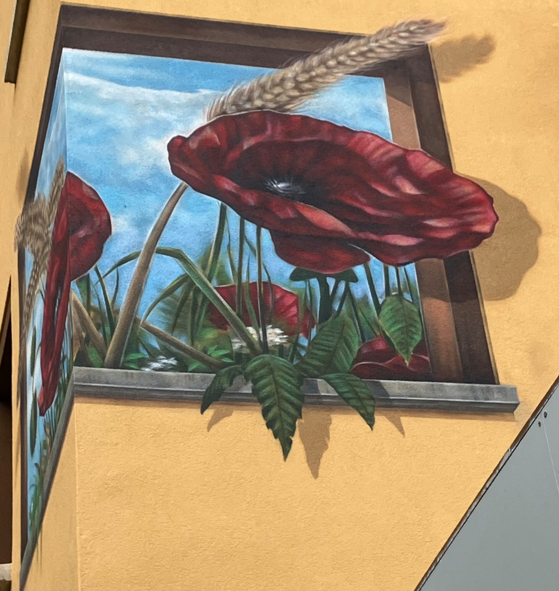 Trompe-l'oeil Poppies on Rue de la Serre — Street art by Carolus in La Chaux-de-Fonds