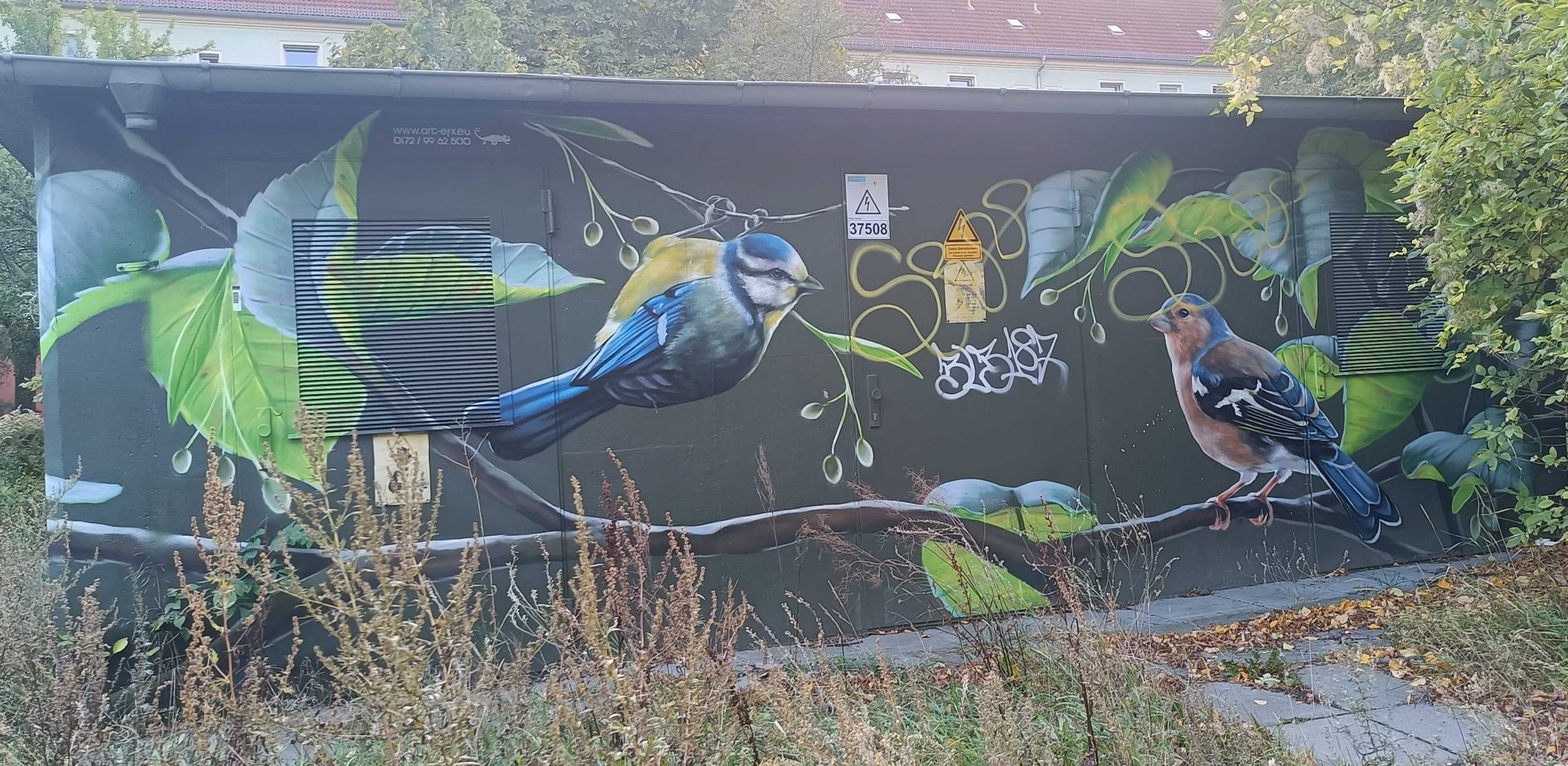 Blue, green and orange birds — Street art by ART-EFX in Berlin