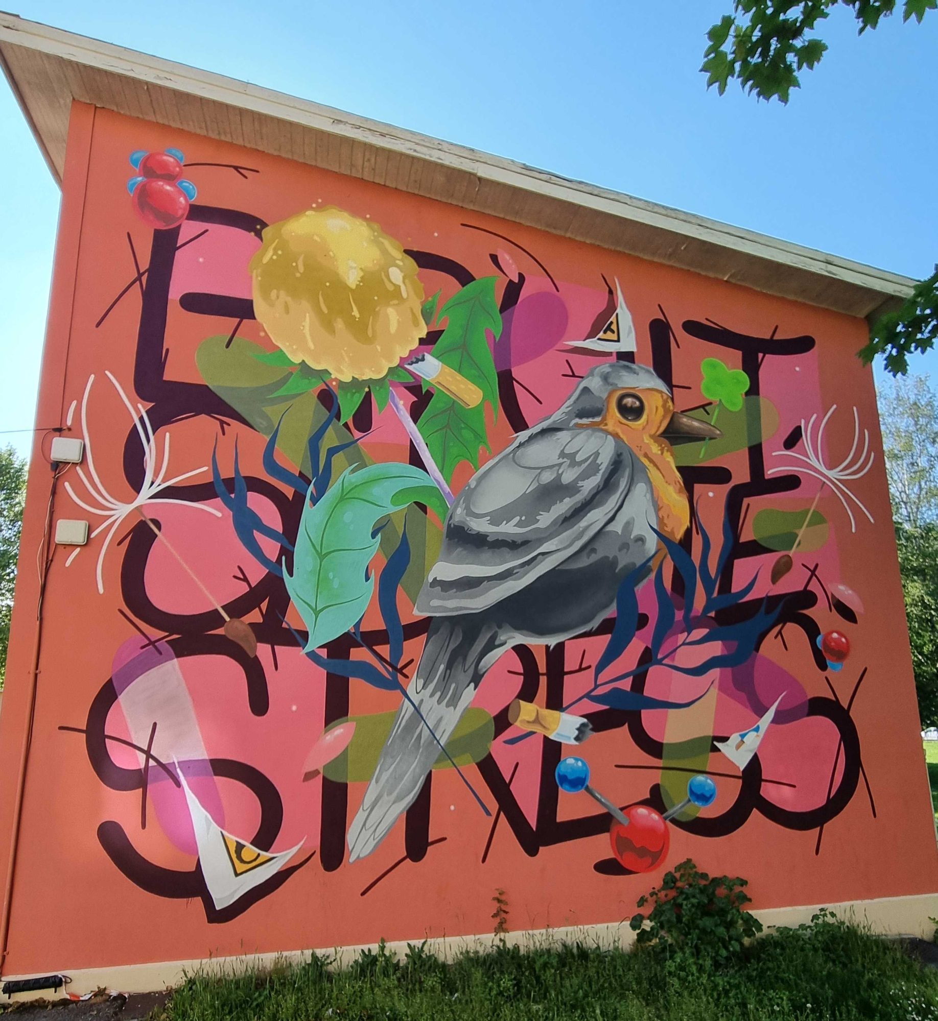 Mural oiseau coloré roses-jaunes avec tags — Street art de Groek à Vizille