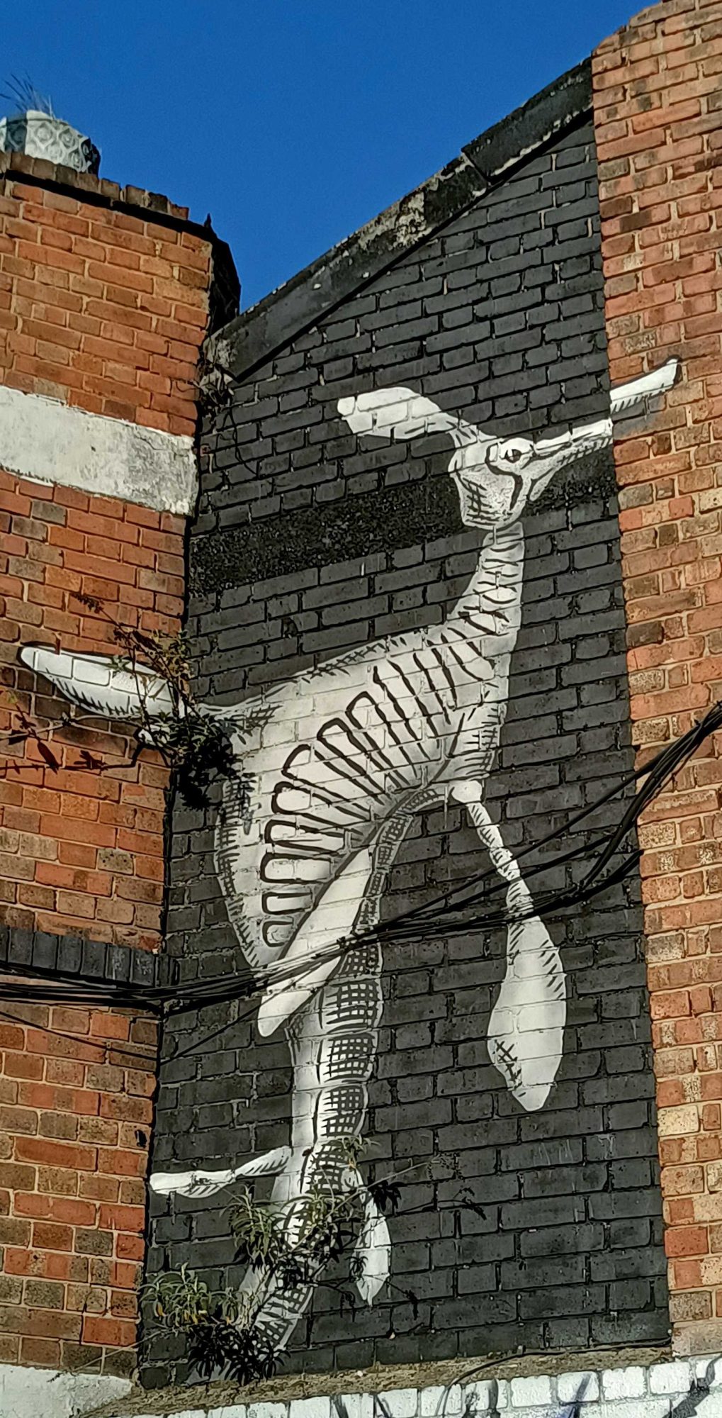 Squelette blanc — Street art à London