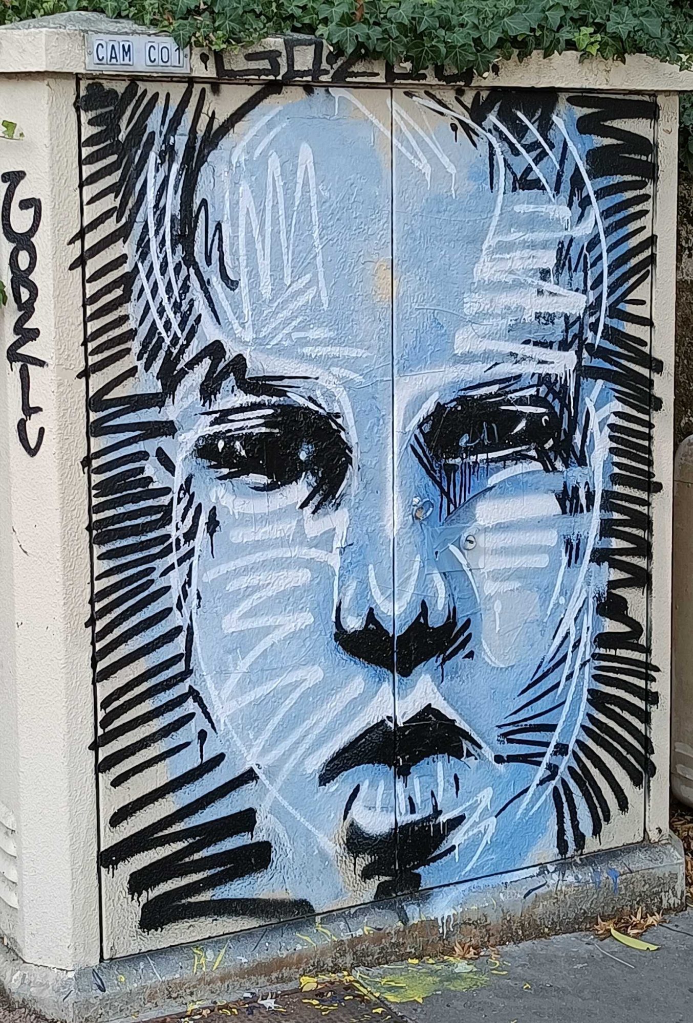 The Blue Face on the Utility Cabinet — Street art by Godelu in Nantes
