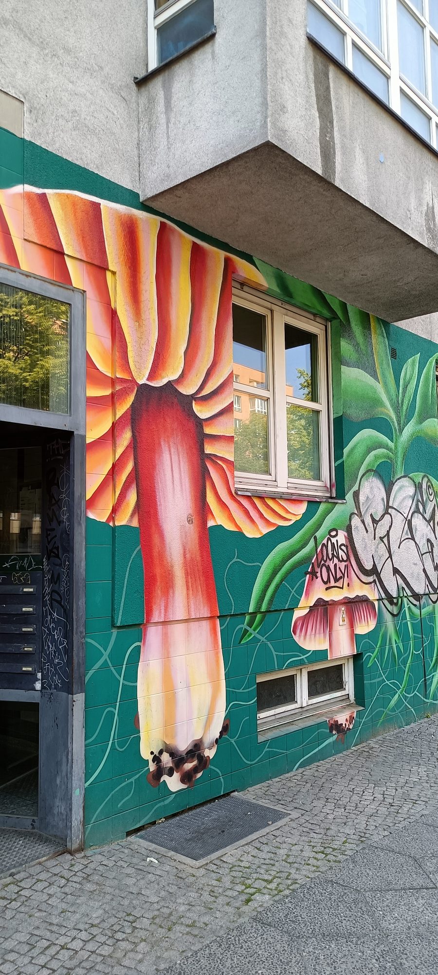 Giant Mushrooms on the Green Wall — Street art in Berlin