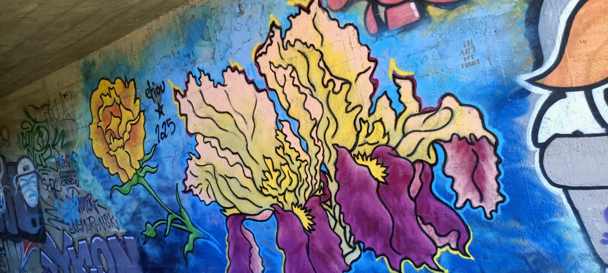 Gerbe d'iris sur fond bleu électrique — Street art à Le Mans