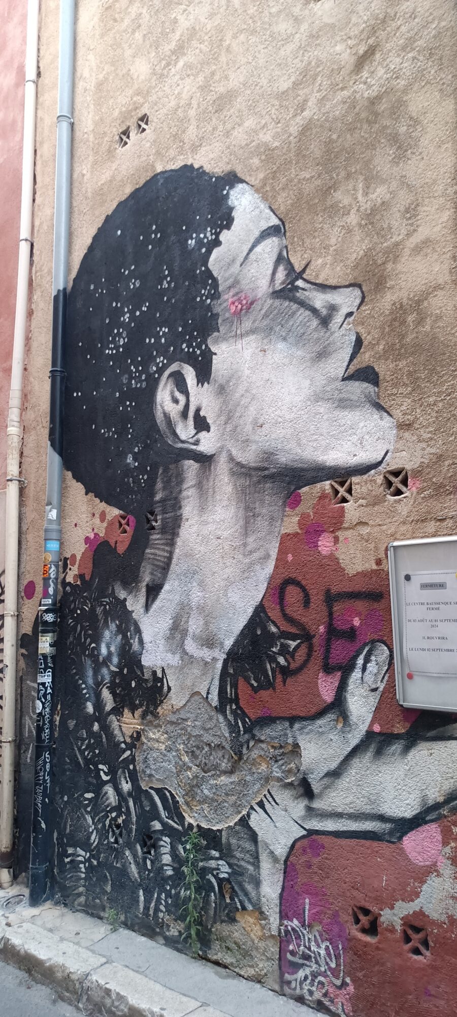 Femme à la chevelure étoilée, noir et blanc — Street art à Marseille