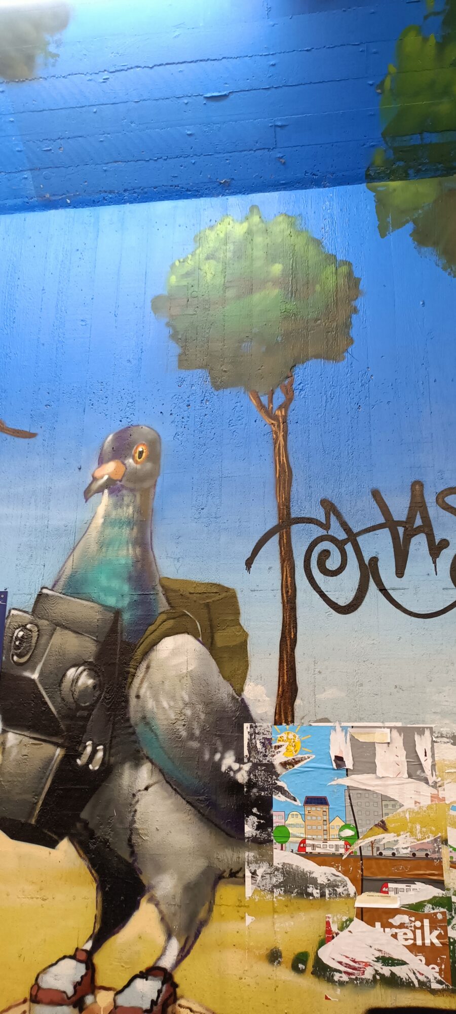 Photographer pigeon in the tunnel — Street art by Goodlack Art in Köln