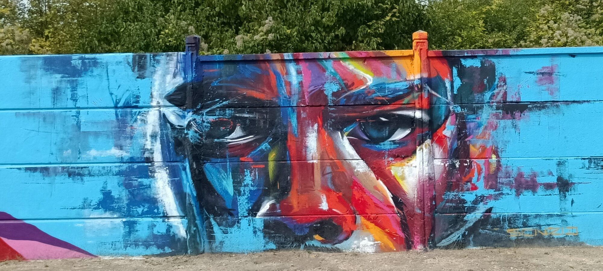 Face Shattered into Red and Blue Strokes — Street art in Reims