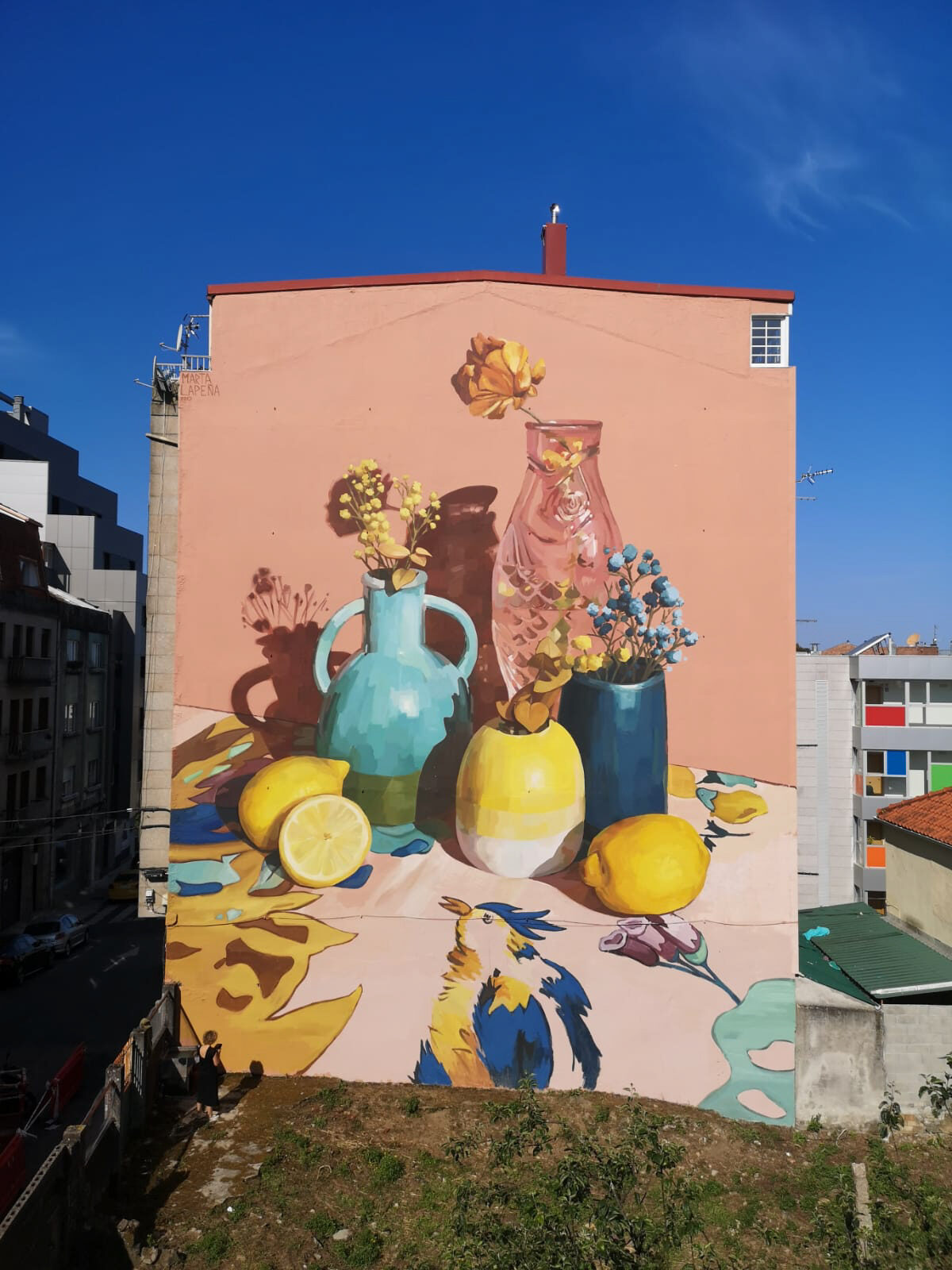Nature morte aux citrons et aux fleurs — Street art de Marta Lapeña à Vigo