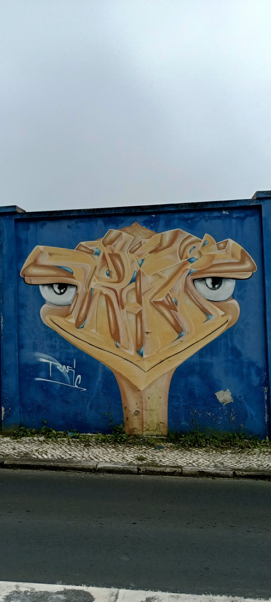 Lettrage en tête d'oiseau — Street art à Lisboa