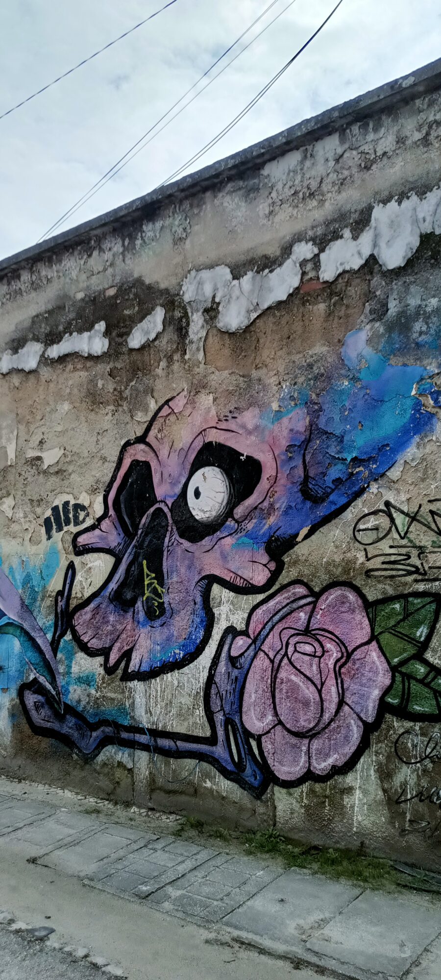 Purple Skull and Faded Rose — Street art in Almada