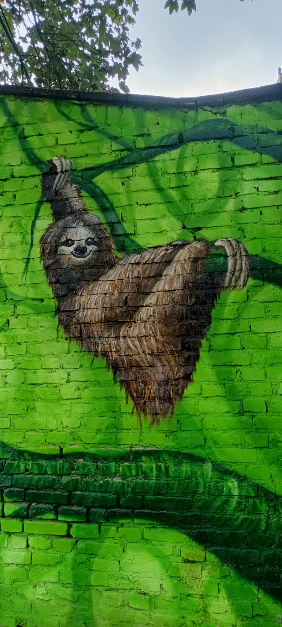 Paresseux suspendu à une liane — Street art de Colorrevolution e.V. à Köln