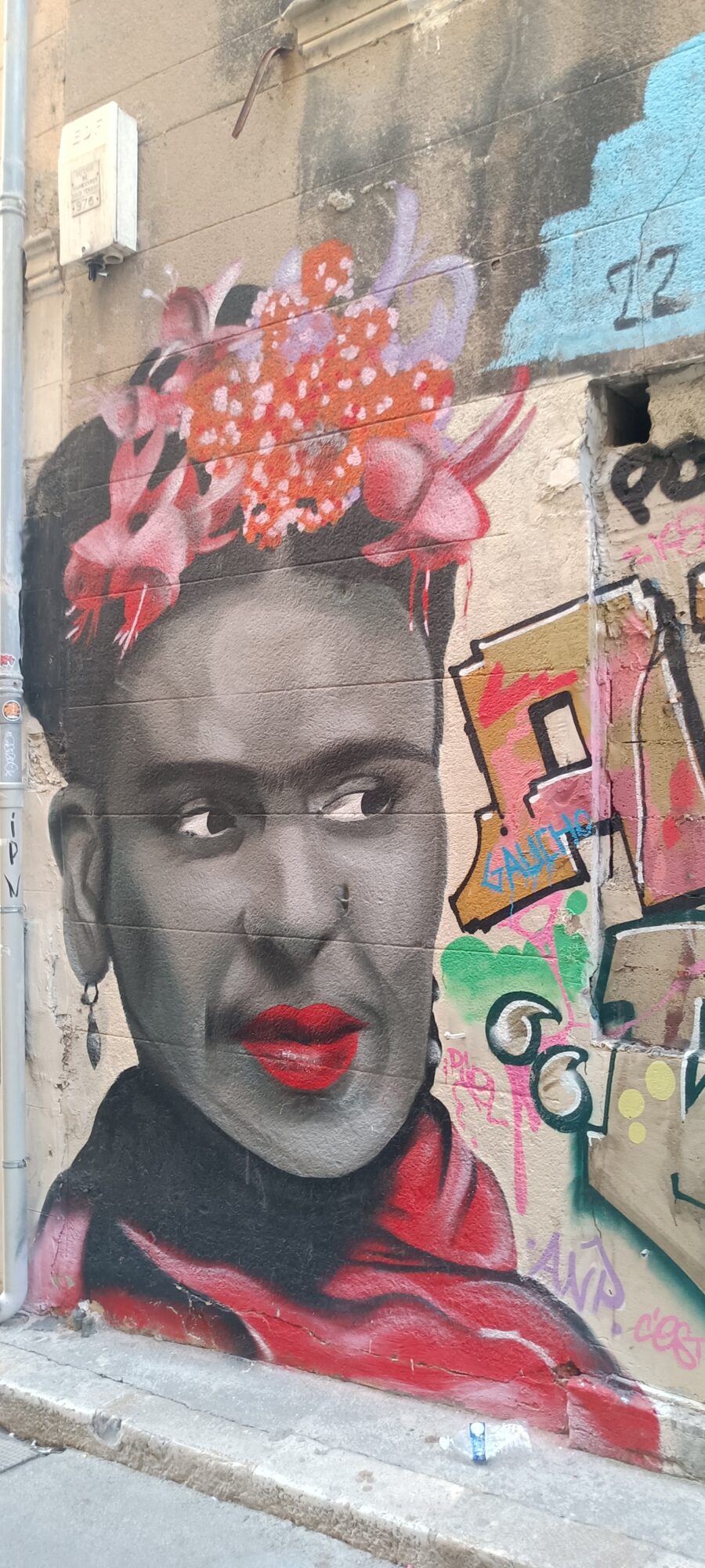 Portrait of Frida Kahlo, Le Panier — Street art by ANP in Marseille