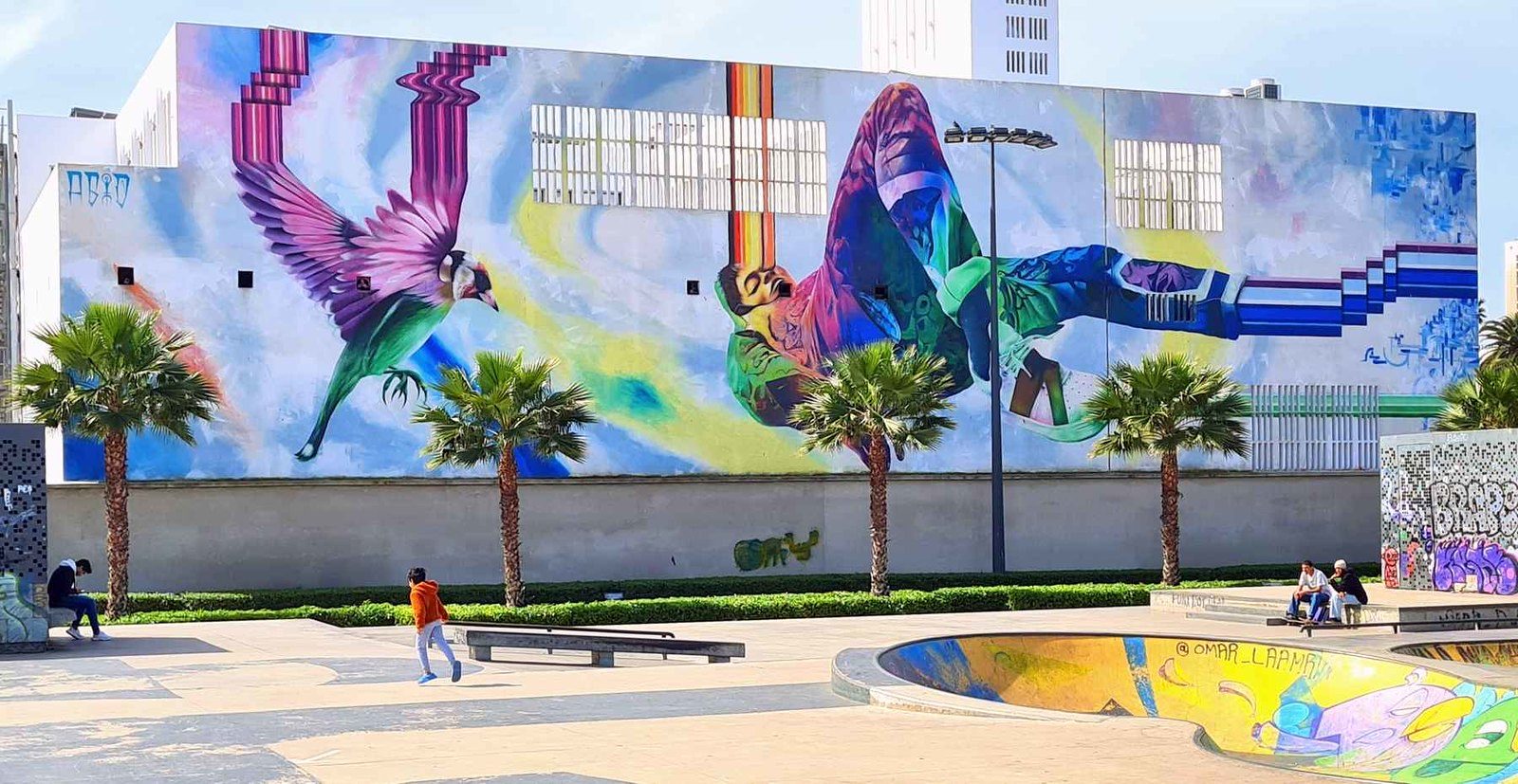 The Birds of the Skatepark — Street art by Abid in Casablanca