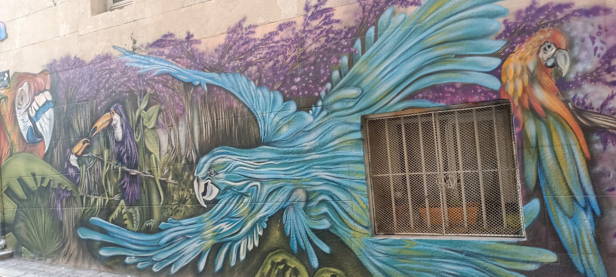 Jungle Jam aux aras par Poasson — Street art de Poasson à Marseille
