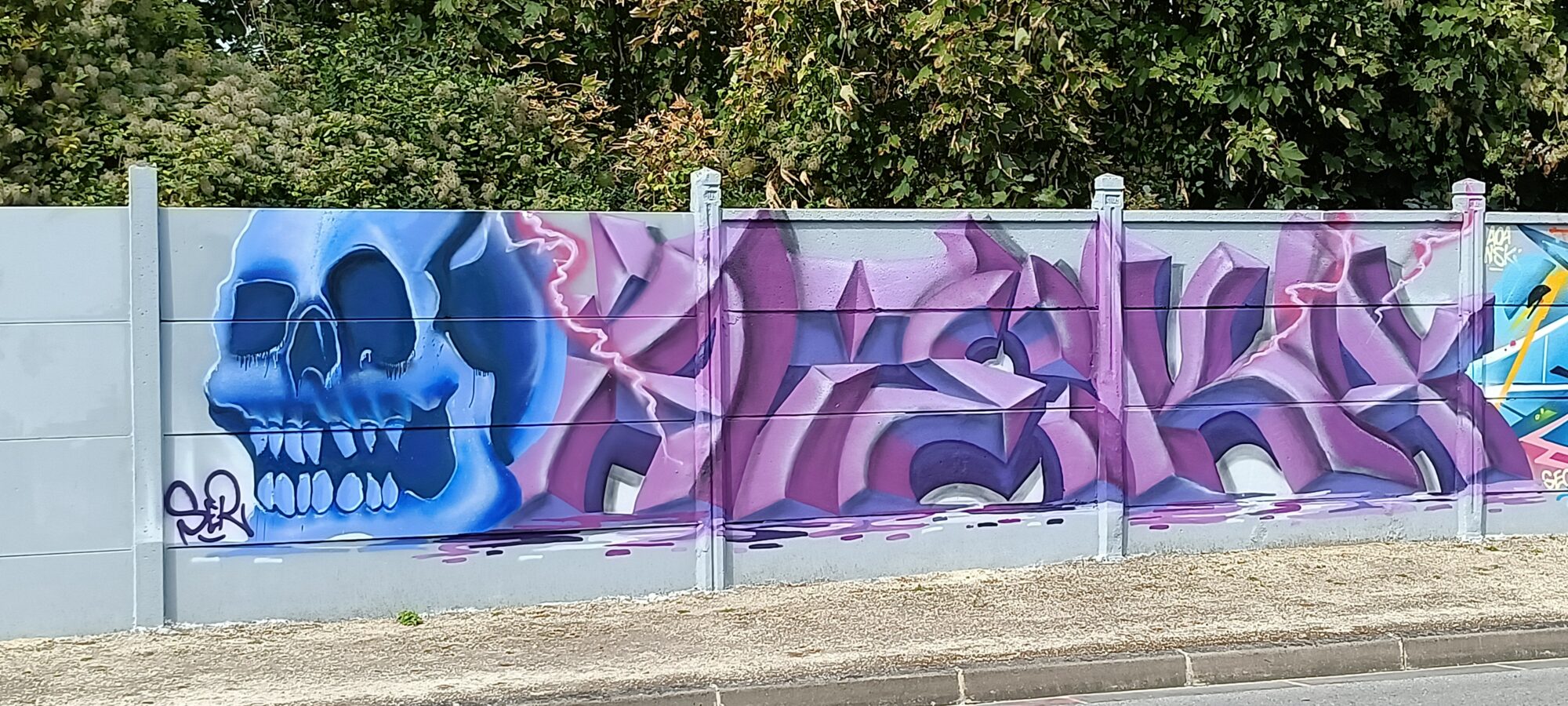 Blue Skull and Mauve Lettering by Ser — Street art in Reims
