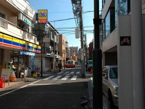 TK_43, Space Invader on Harani Hon-dori — Street art by Invader in Tokyo