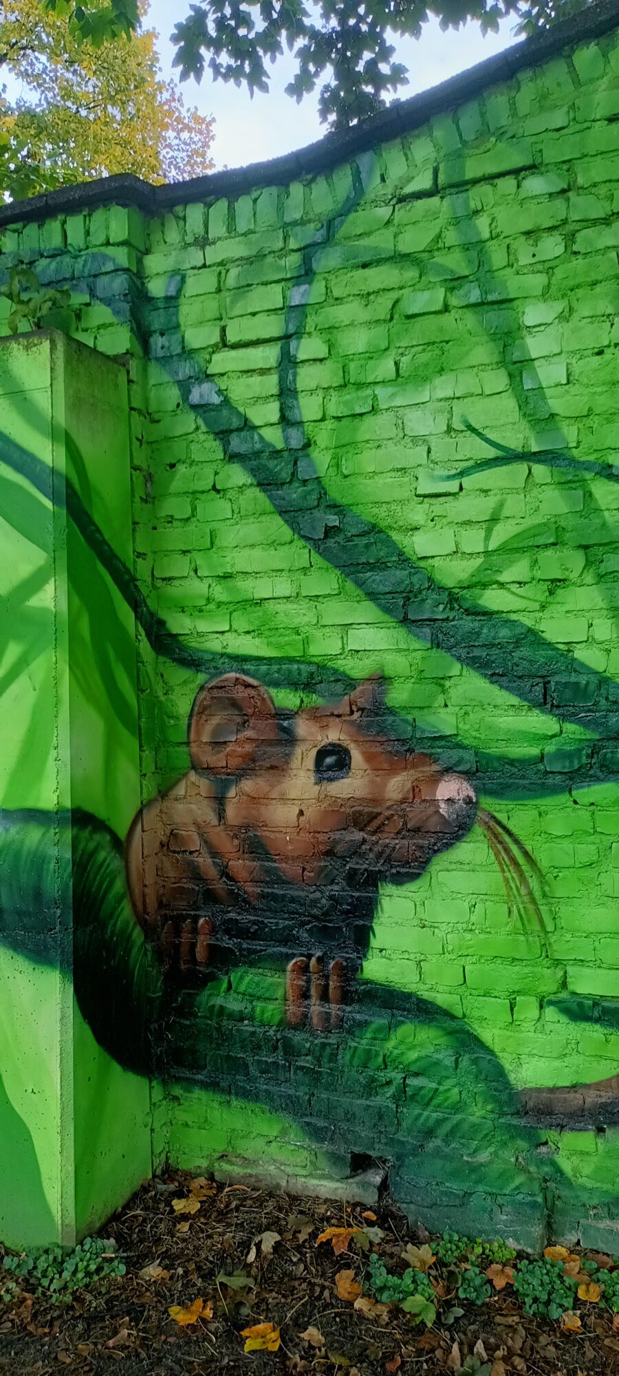 Mouse on a green leaf — Street art by Colorrevolution e.V. in Köln