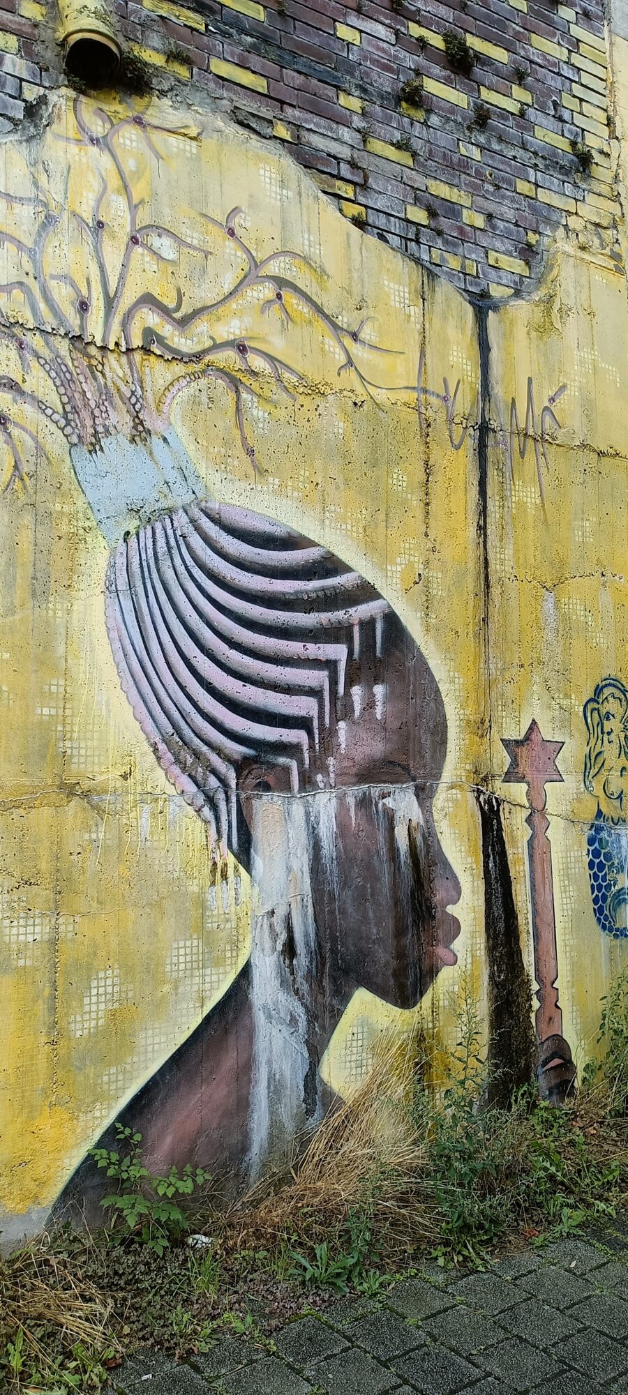 Profil à la coiffe de branches — Street art à Köln