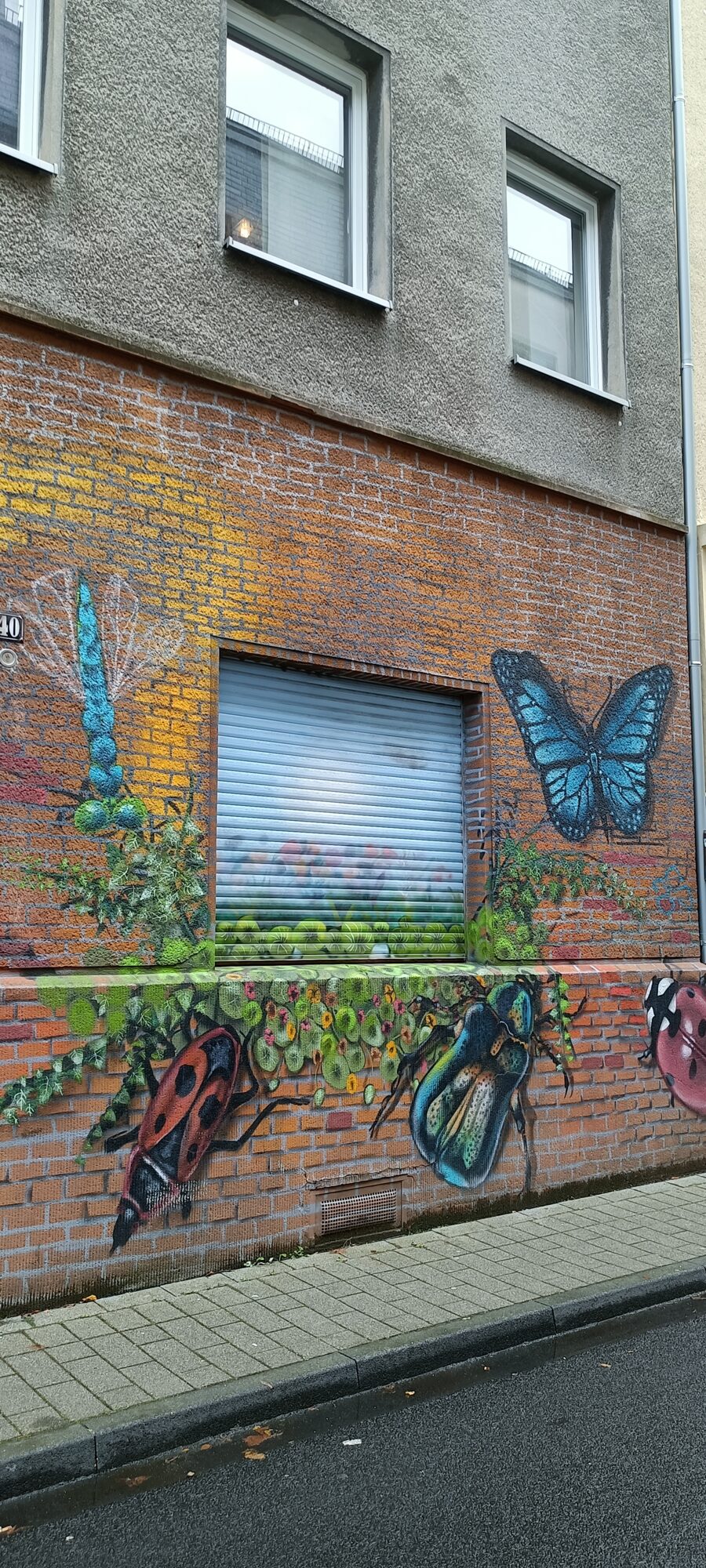 Insectes géants autour d'une fenêtre — Street art à Köln