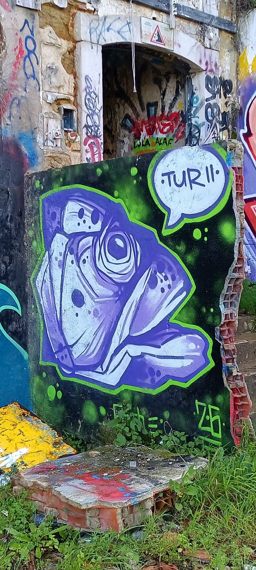 Grenouille violette Tur II — Street art à Lisboa