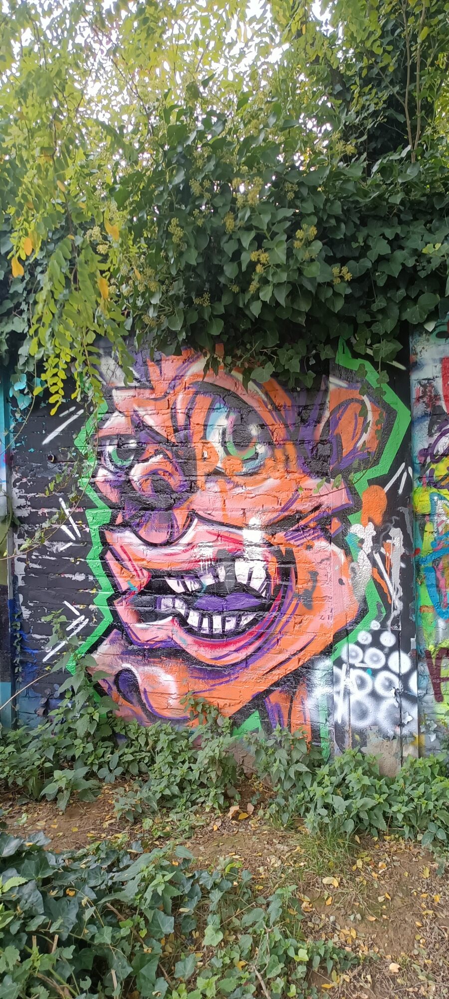 Visage grimaçant orange sous le lierre — Street art à Düsseldorf
