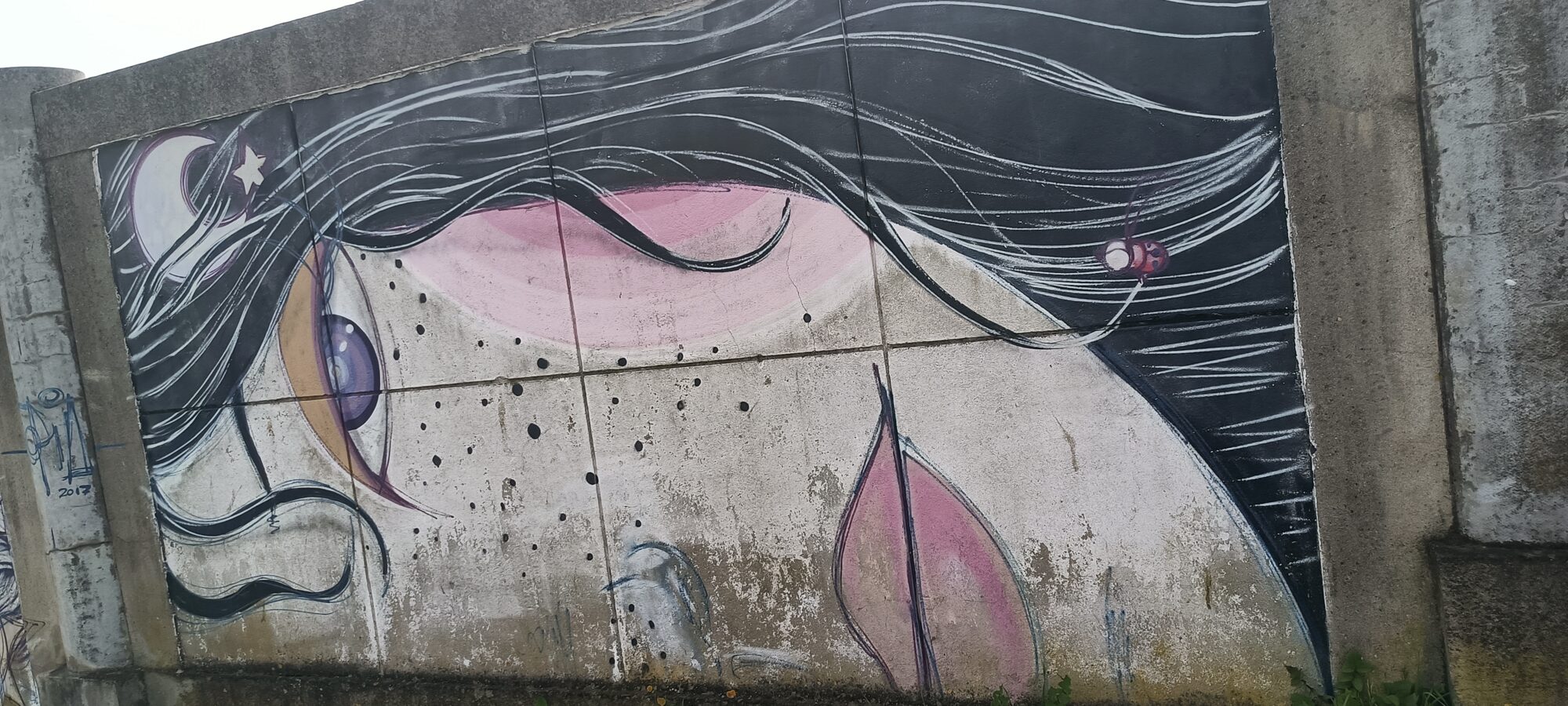 Visage rose aux longs cheveux blancs — Street art à Lisboa