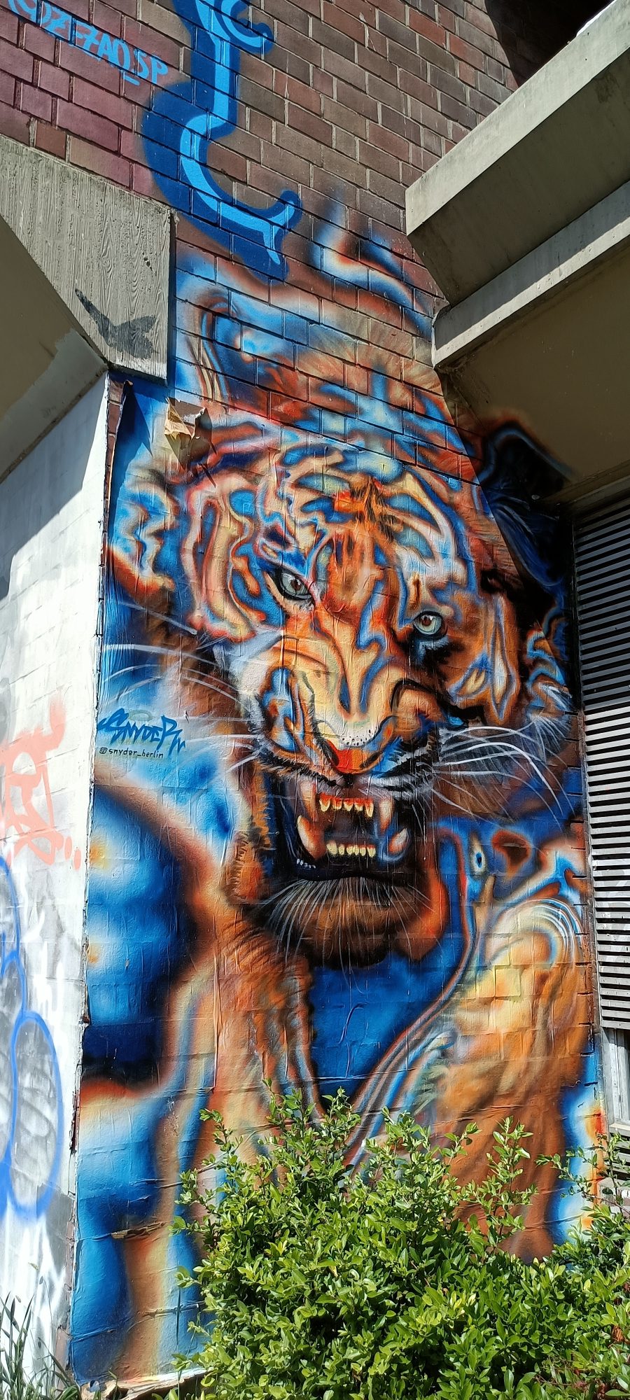 Tiger with Blue Flames by Snyder — Street art by SNYDER in Berlin
