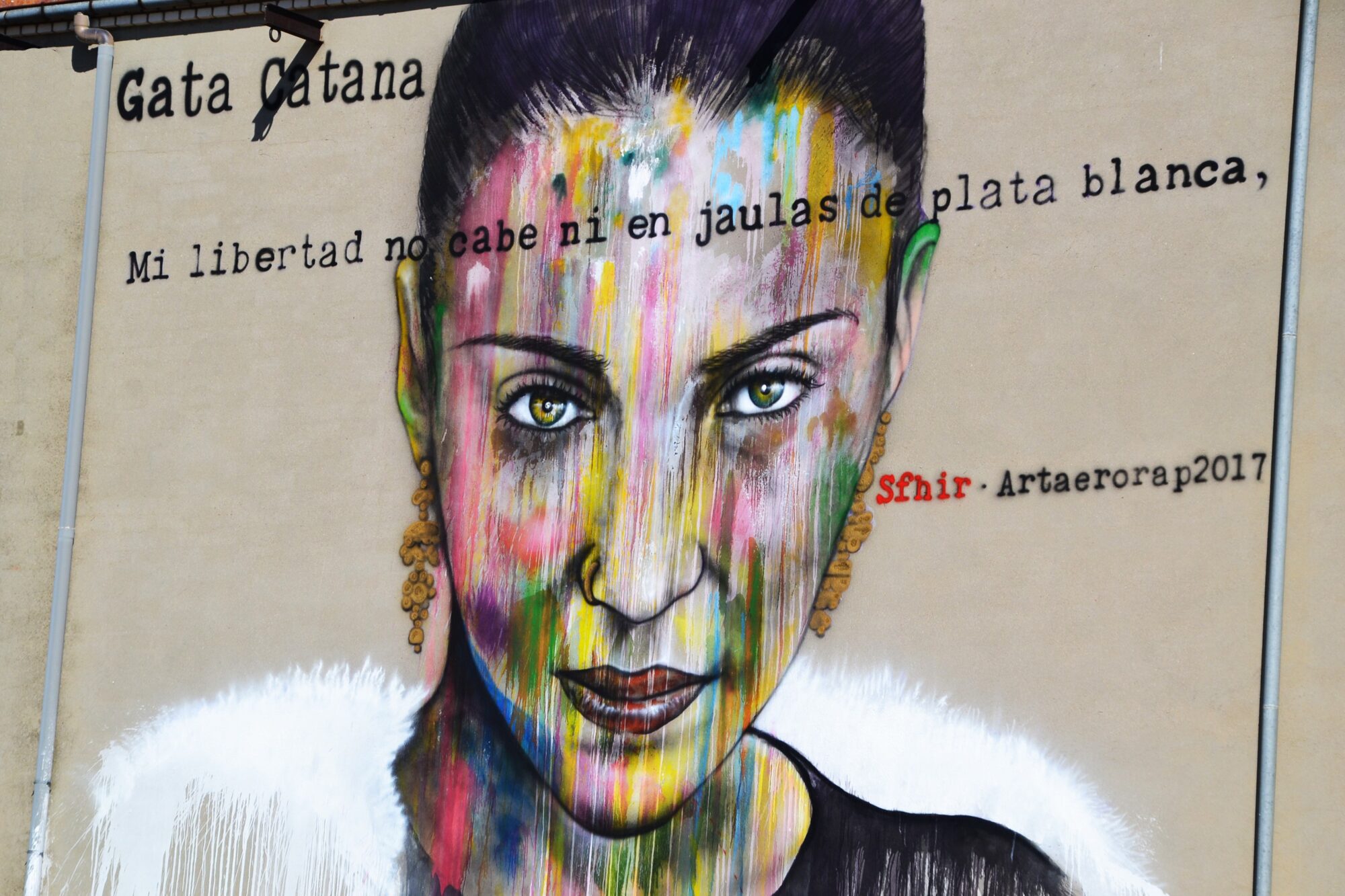Gata Cattana — Street art by Sfhir in La Bañeza