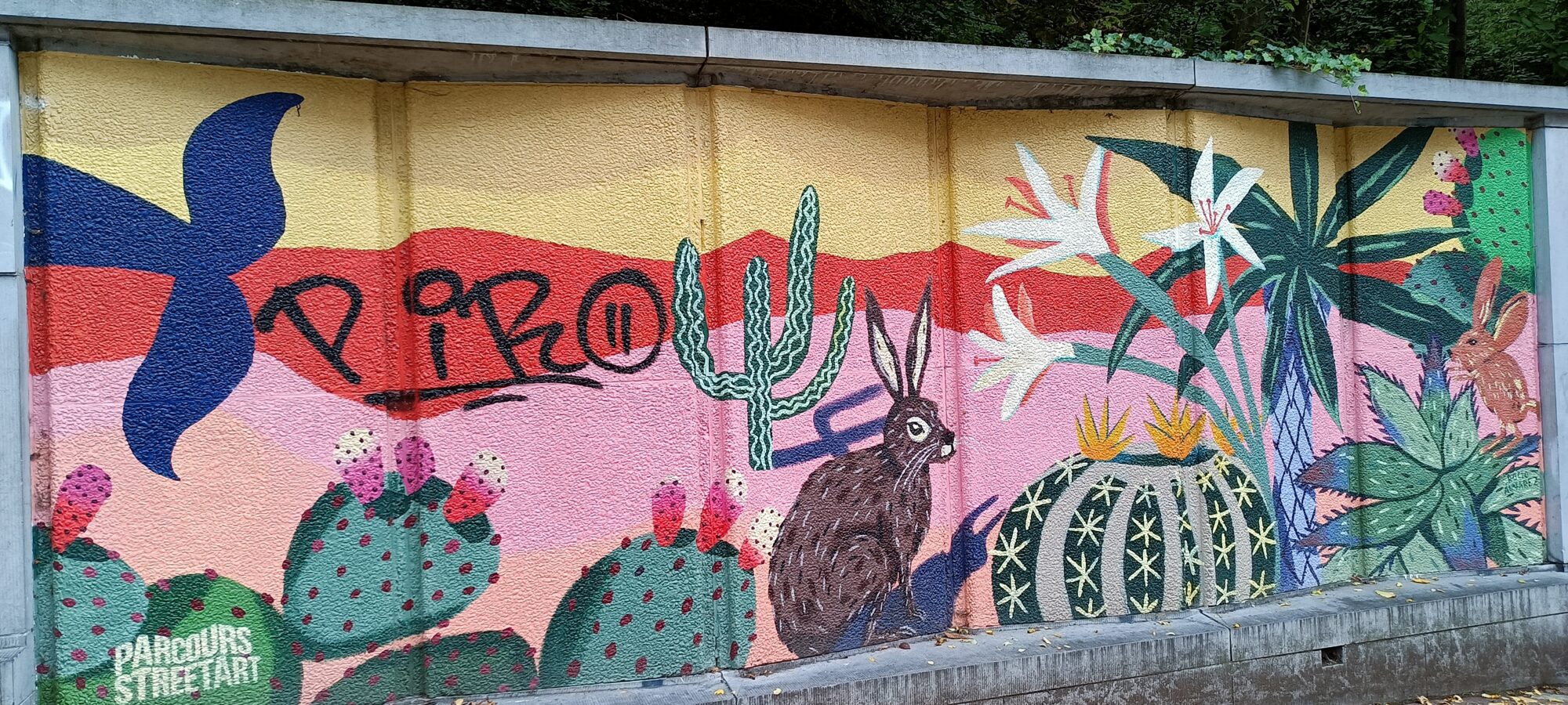 Désert aux cactus et lièvre — Street art de Rocío Álvarez à Ixelles