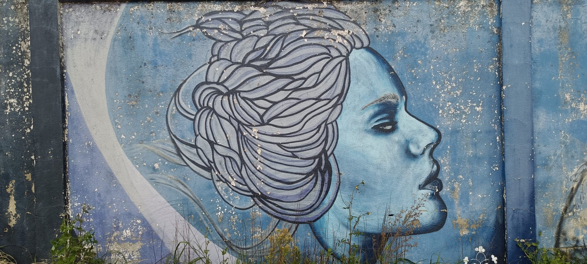 Profil bleu à la coiffure tressée — Street art à Lisboa