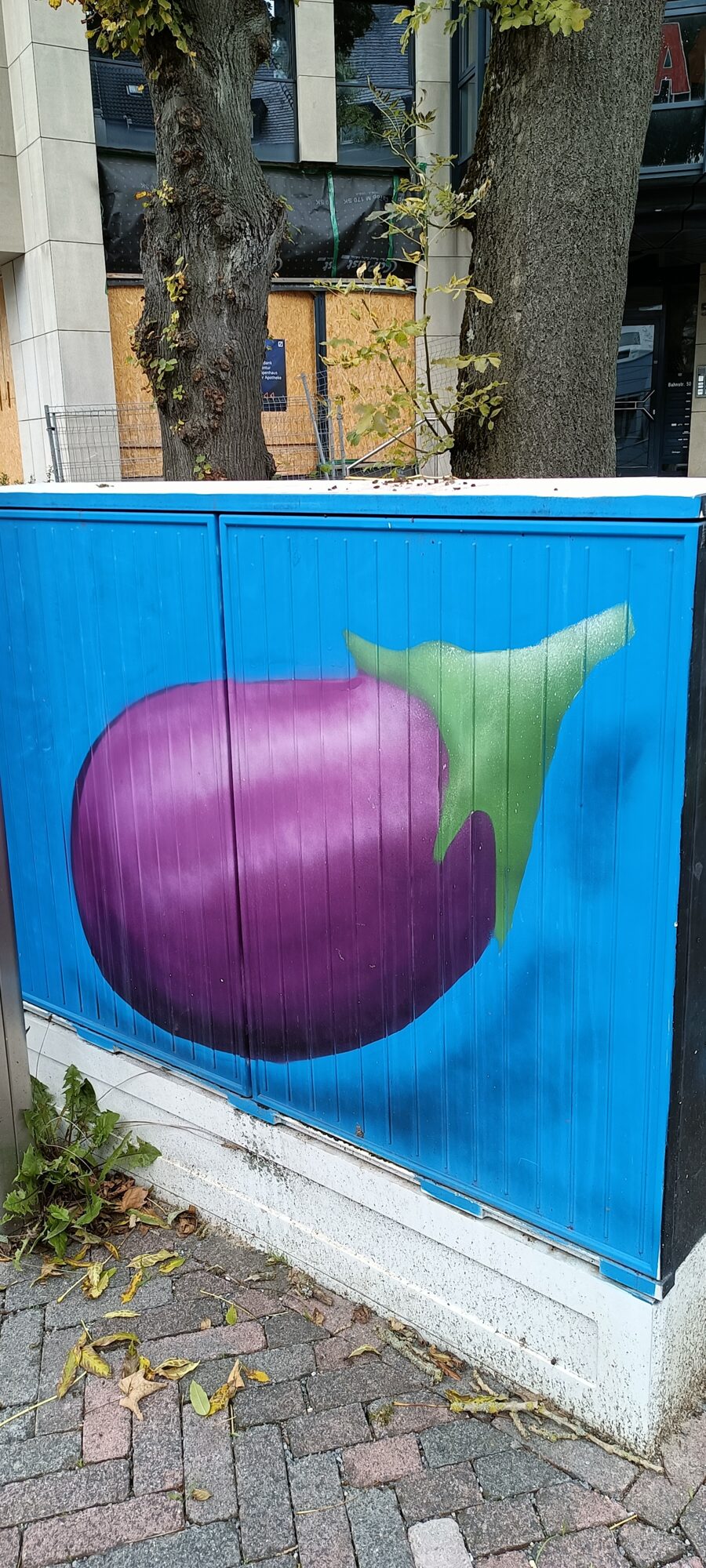 Aubergine sur boîtier bleu — Street art à Erkrath