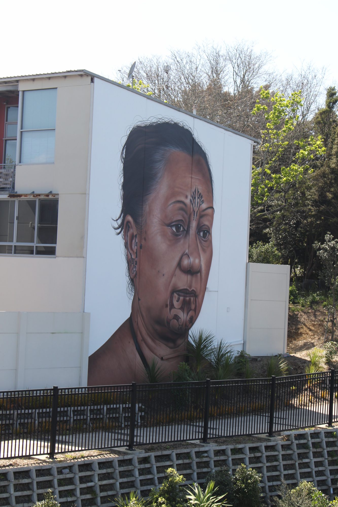 Hine, portrait māori monumental — Street art de Owen Dippie à Auckland