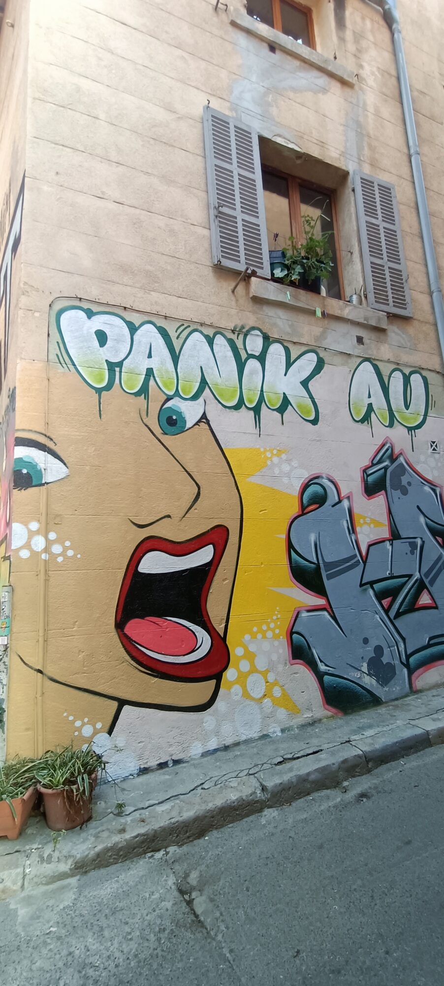 Panik Au, visage à la langue tirée — Street art à Marseille