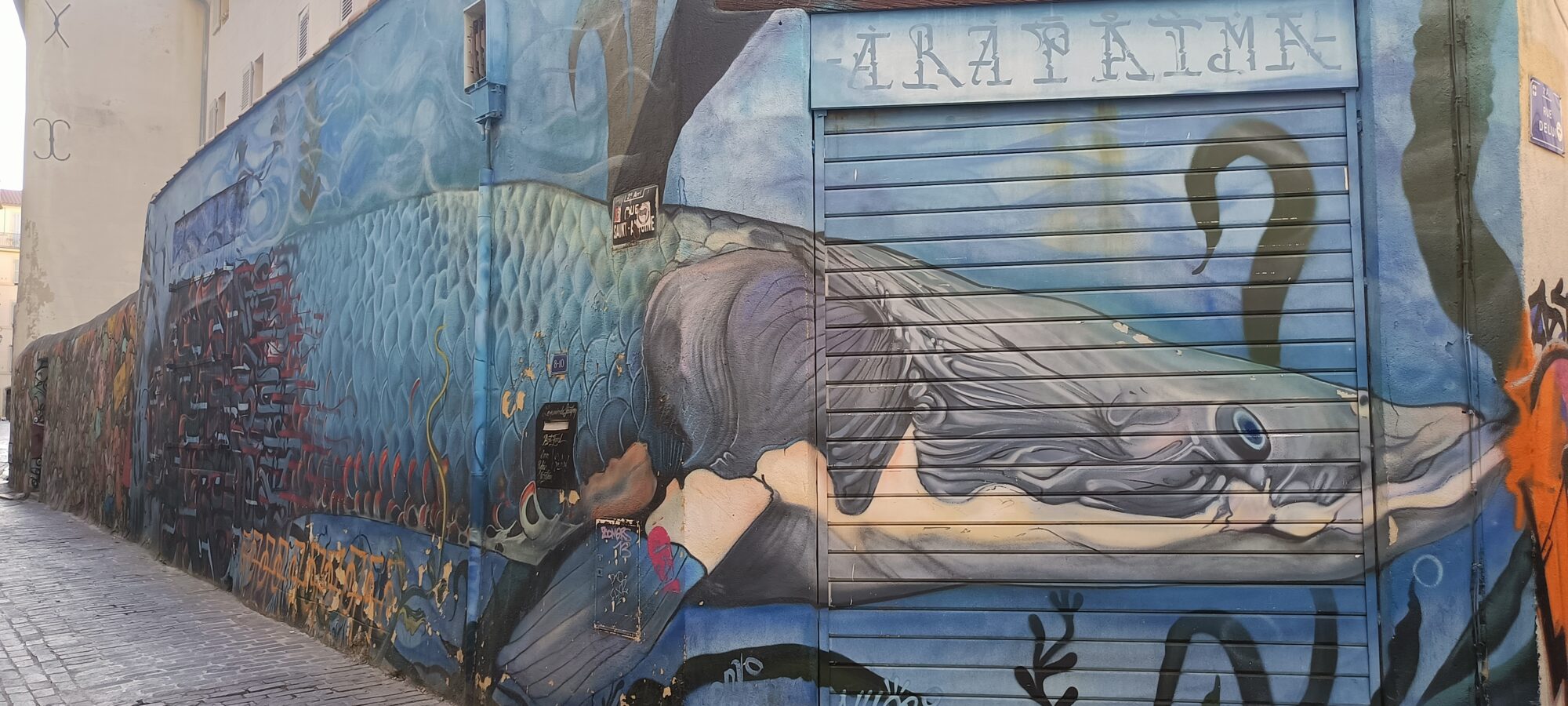 Baleine Arapaima sur la rue Saint-Antoine — Street art à Marseille