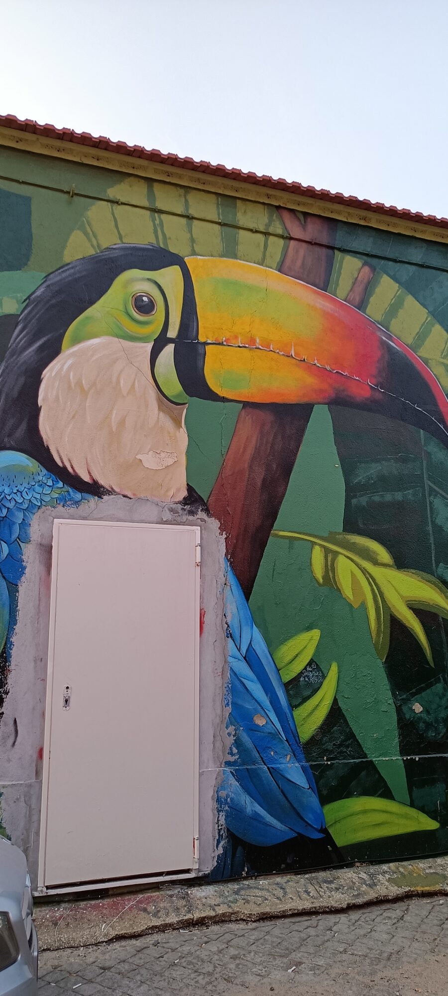 Toucan in the Painted Jungle — Street art in Lisboa